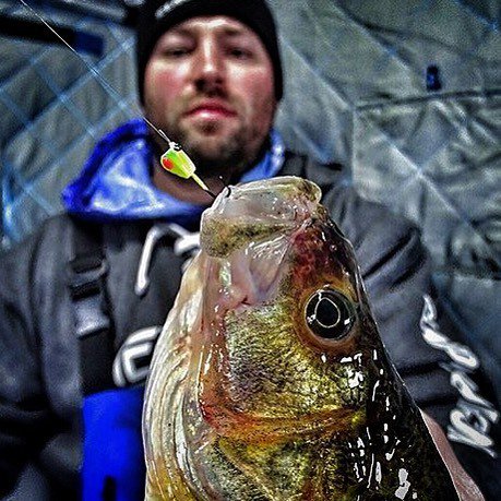 TargetWalleye's tweet photo. @stealth3350 Drop Kickin' around some South Dakota Jumbos.
#TargetICE #icefishing #jumbop… https://t.co/h3a3D6Lcap https://t.co/vpr6IOl8bC