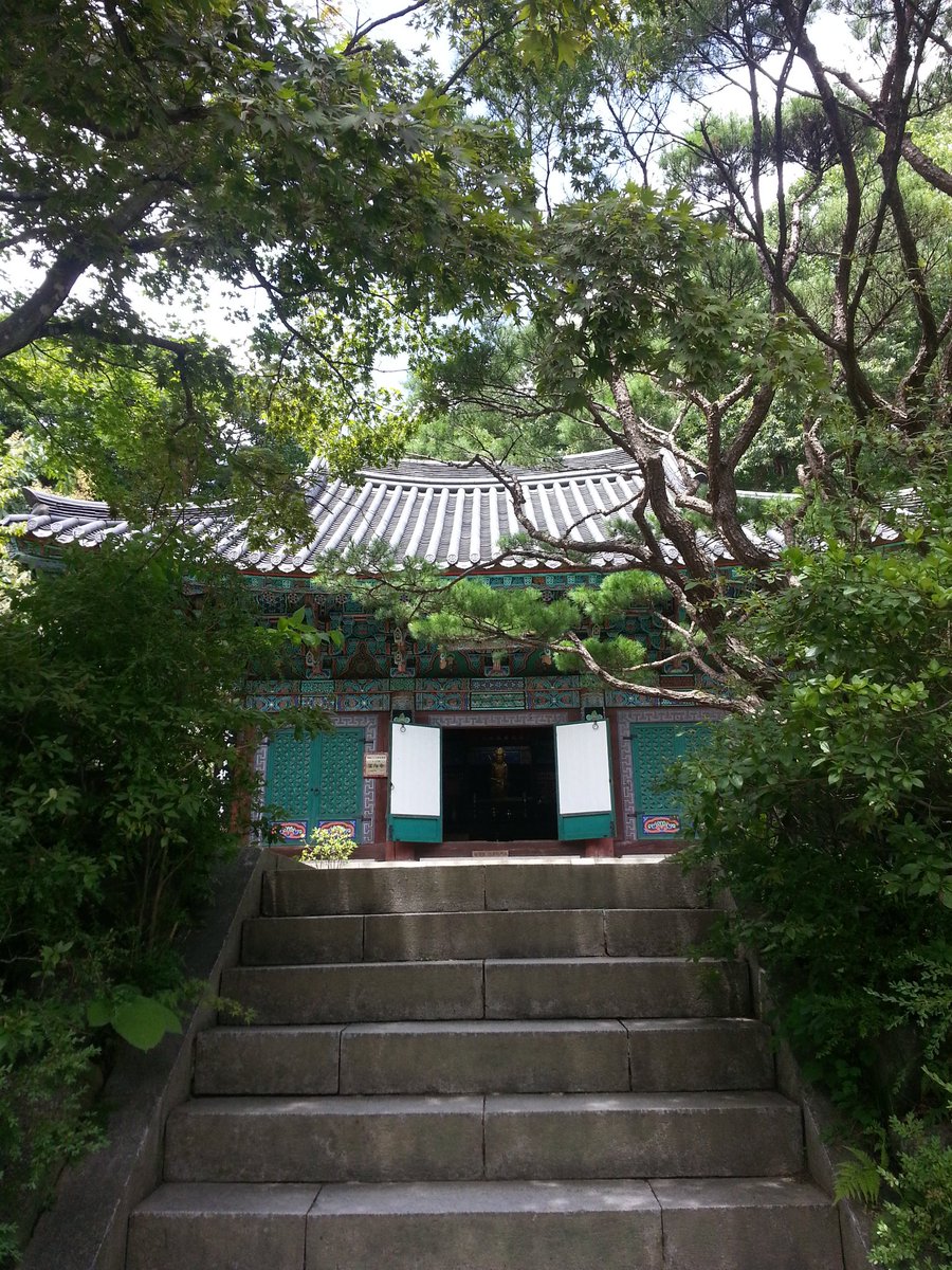 비오는바다 tweet media