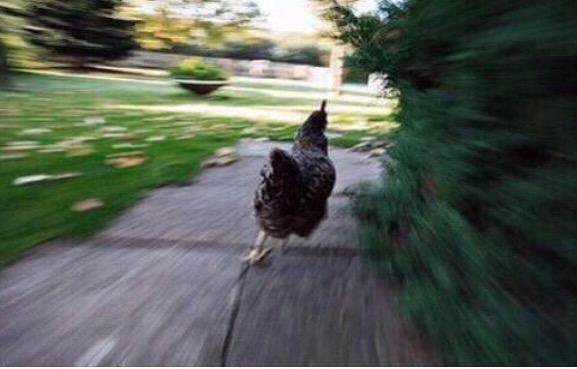 SpeakComedy's tweet photo. manager: "okay you can go home now"
me: https://t.co/R5r3Qzw2DT