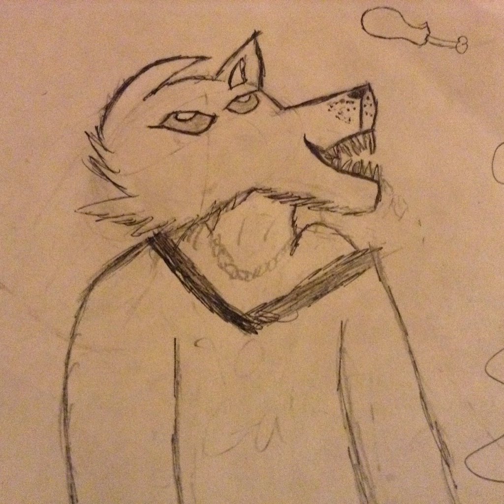 Desmond_wolfie's tweet photo. Well, been a while... https://t.co/z1fDZWpg8F