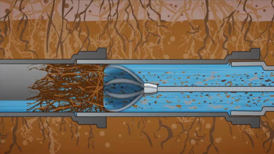 GetARMS's tweet image. Tree roots are the worst! Be sure to get maintenance on your pipes before your sewer backs up! #getarms