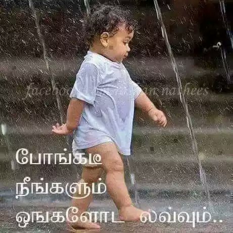 raja_rava's tweet photo. @kayu_Thevudiya https://t.co/3HDVwdFPHg