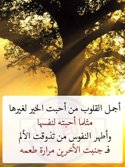 anisa64alsaadi's tweet photo. صباح الخير والسﻻم https://t.co/N94N7ykYnq