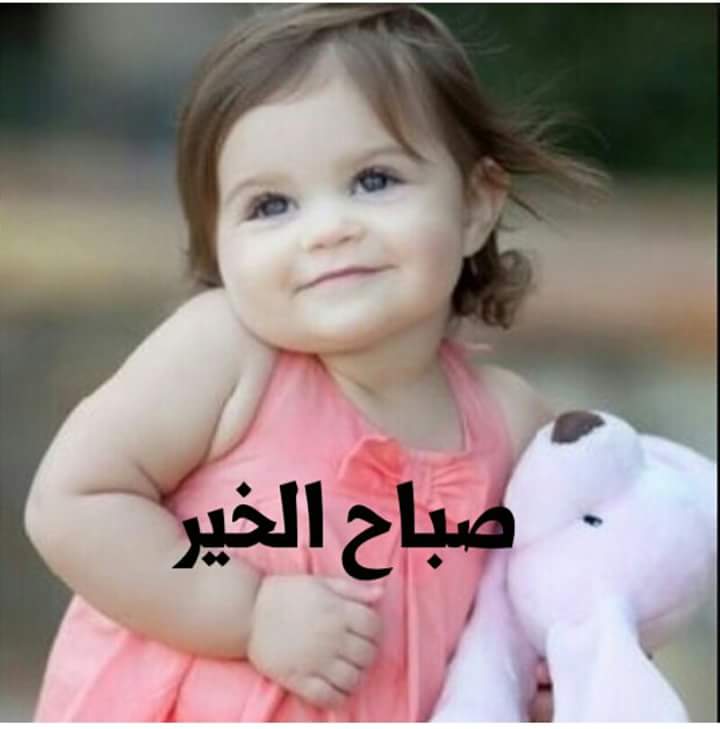 aailsaf399's tweet photo. صباح الخير https://t.co/JawGKIkImH
