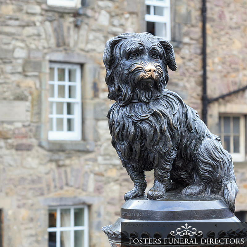 DirectorFuneral's tweet image. They say that a mans best friend is his dog. This is the story of Greyfriers Bobby - bit.ly/1mfWC3P