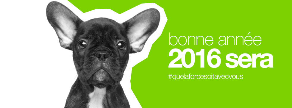 AgInteractive's tweet photo. Pour vous, vos proches, vos rêves, votre business, bonne année 2016 sera #quelaforcesoitavecvous https://t.co/vYb0WzGjFh