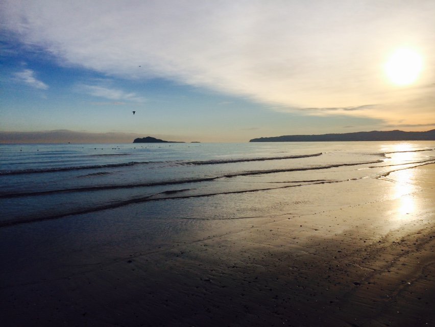 PortmarnockSubAqua tweet media