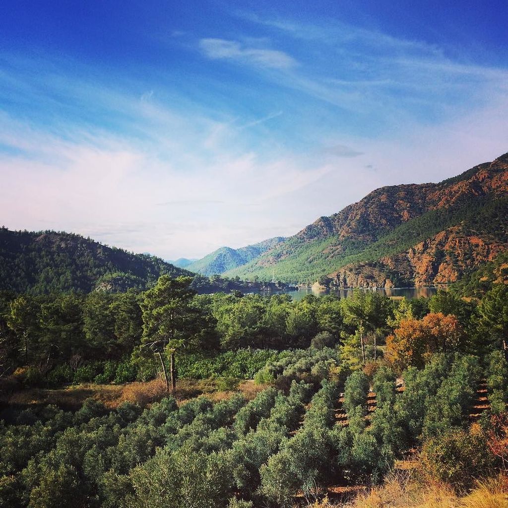 TravelDealsInt's tweet photo. Worlds Cheapest Flights: https://t.co/7GLAWdIdu1 Good morning everyone🌤🌲🏞☕️ Akkaya Valley/Dalaman-Turkey  #smallho… https://t.co/fl8GL80nYs