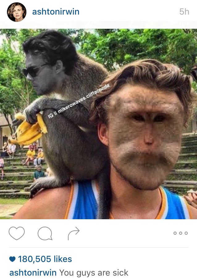 5SOS_Daily's tweet photo. ASHTON POSTED THIS ON IG LOLOLOL https://t.co/xoKTlZwg23
