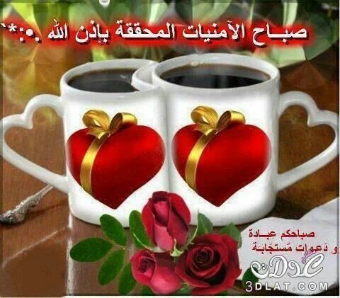 al_haidarea's tweet photo. صباحكم أماني محققه
وامل جديد
وحياة جديده https://t.co/KCL054RD6T