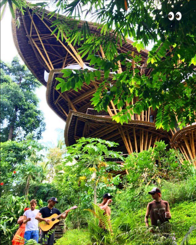 5SOS_Daily's tweet photo. More pictures of the boys in Bali (via their friends) https://t.co/qIFgCaxoI6