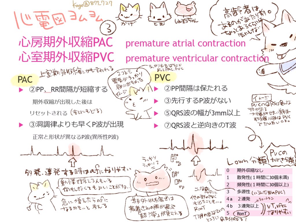 Twitter पर 看護師のかげさん イラスト看護帖書籍化 心電図