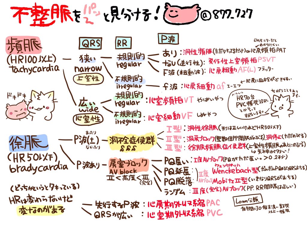 看護師のかげさん イラスト看護帖書籍化 心電図ヨムヨムこうざ 循環器 モニター心電図の判読手順 主に頻脈性不整脈はだいたいこの順番で見ていけば何か分かる 不整脈を見つけたらバイタルサイン 症状の有無 不整脈の頻度 継続時間 現在も続いて
