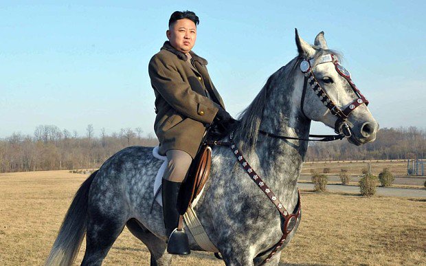 Kim Jong-un (김정은) tweet media