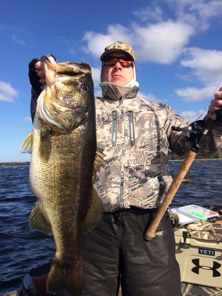 trophybassexp's tweet photo. 4 of 4 nice #bass out of 44 total #RodmanReservoir fish yesterday at 8lbs12oz #bigbass @BASS_nation @BassFishnTips https://t.co/FctxrDXDVT