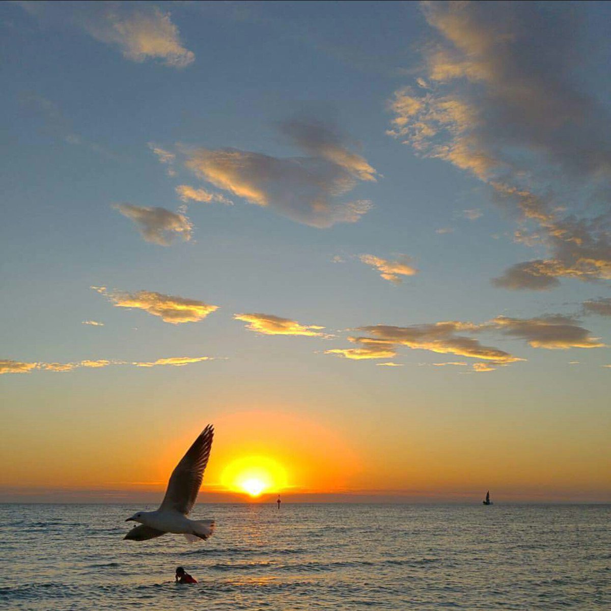 liveyarravalley's tweet image. Welcome to #2016 everybody.  #firstsunset for the year. And it was #spectacular. #melbourne #summer #yarravalleylife