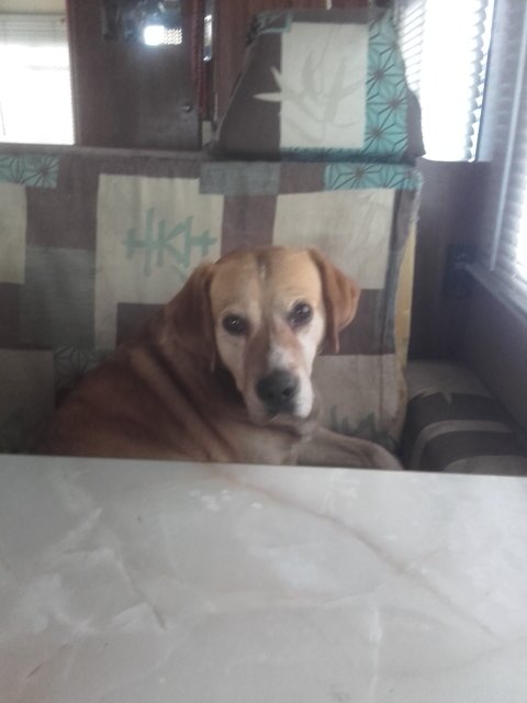 ColonelRoro's tweet image. En tête a tête 😂😉