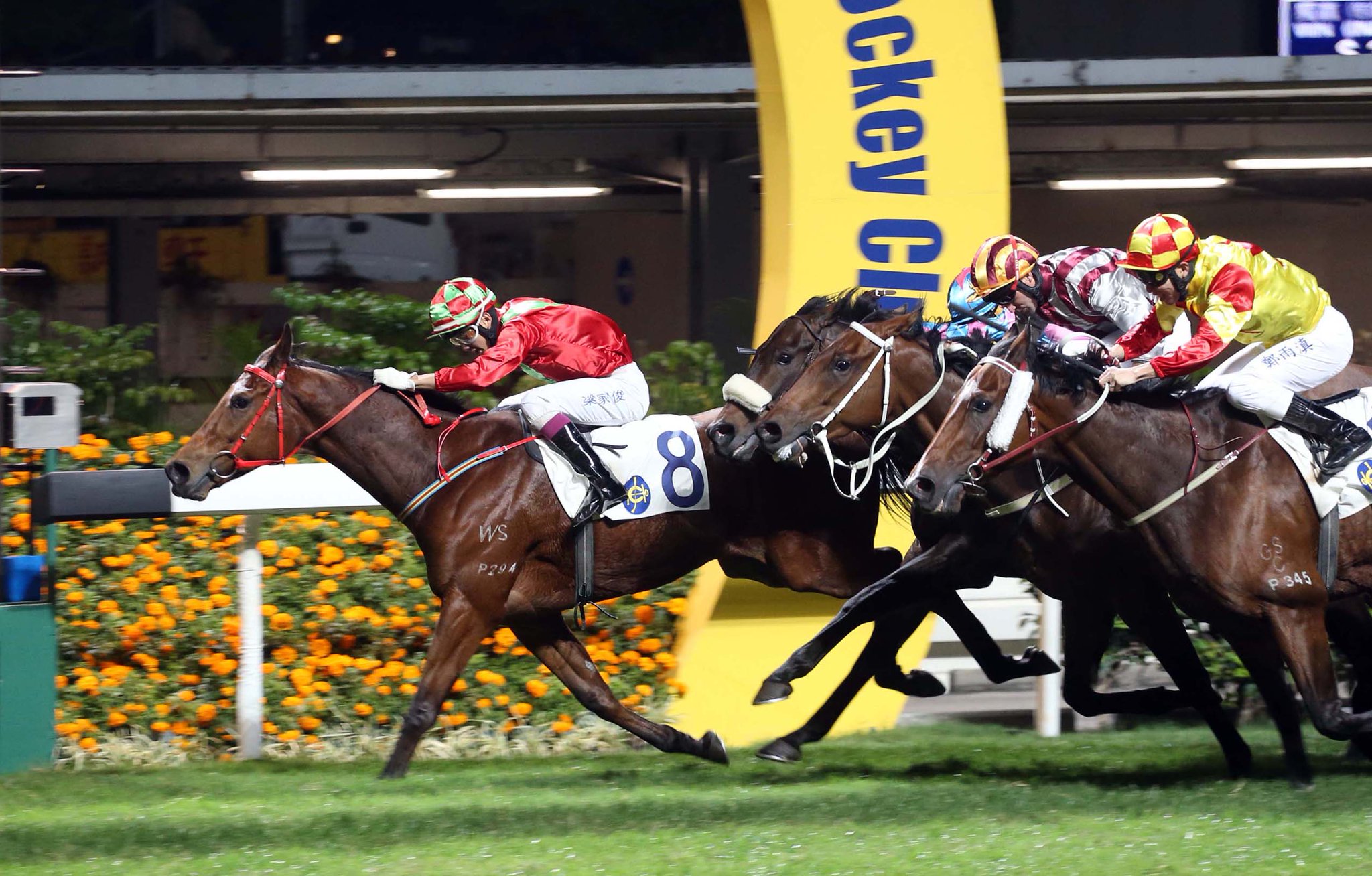 HKJC Racing on Twitter: 