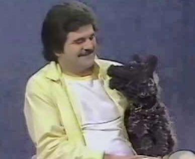 Social_Pip's tweet image. Happy #WoofWoofWednesday from this one who I'm often told resembles #SpitTheDog