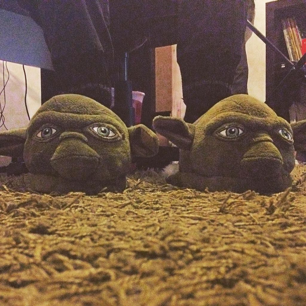 FGionfalo's tweet photo. How to feel like a Jedi. https://t.co/MUHxtBK1wp https://t.co/6HxVeNHtcR