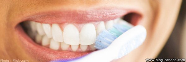 Blog_Canada's tweet photo. Tout ce que vous devez savoir avant de consulter un #dentiste au #Canada https://t.co/8eKkfiYvn2 #PVT #EICFrance https://t.co/CC1ybUGJIT
