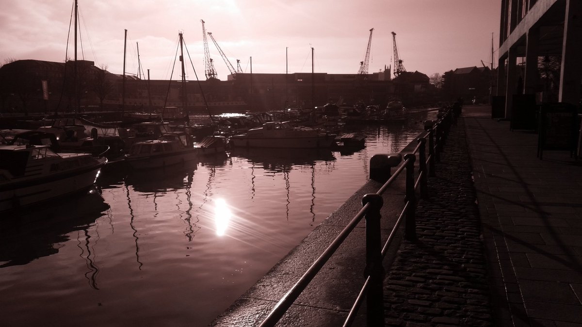 Matty Kays tweet media