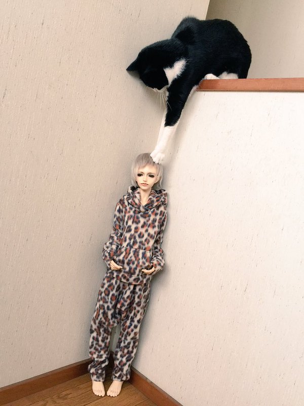 Embedded image permalink