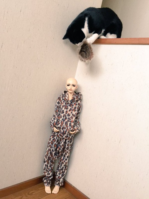 Embedded image permalink