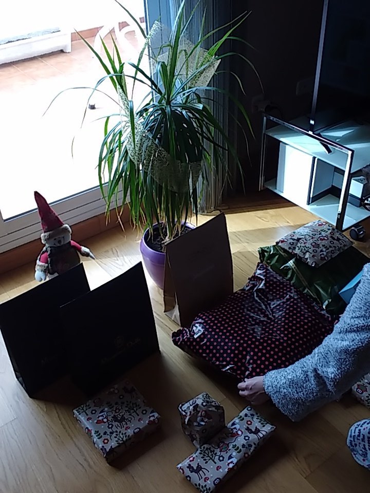ciberyo16's tweet photo. Menos mal que los Reyes han encontrado la planta navideña para dejar los regalos :) https://t.co/YtZJxerTFl