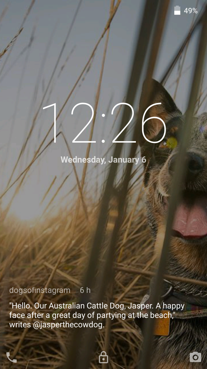 CorgiApp's tweet photo. DogsOfInstagram is our favorite instagram subscrition so far :D @CorgiApp = @instagram on your lock screen! WoofWoof https://t.co/m6rt3D8tGR
