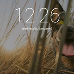 Photo by CorgiApp (@CorgiApp)