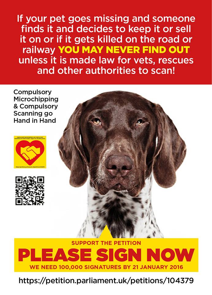 FindOurPup's tweet photo. Sign for all the missing #pointers Angel included!!
#ScanMer
https://t.co/DQ6WctHLeZ https://t.co/ewBOJhnORL