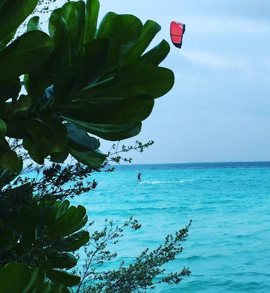 weKitesurf's tweet photo. #surf #surfergirl #marmaide #maldivesislands #surfmaldives #kitesurf @malika_aloha #malikasurfcampsomo #malikasurfw… https://t.co/23FgnGmvtJ