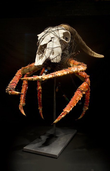 267 ANIMAL SPECIES SUFFER FROM PLASTIC POLLUTION!!
Exhibition VIDA TÓXICA coming soon
<a href="/PlasticPollutes/">Plastic Pollutes</a>