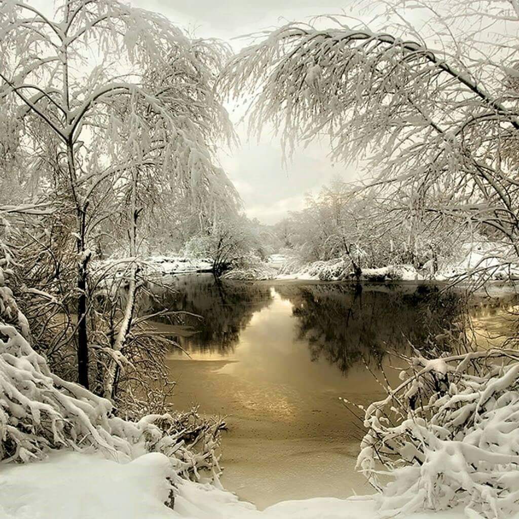 GaalTon's tweet photo. Gaan we dit nog beleven in Nijverdal https://t.co/YfW6yb4Pa6