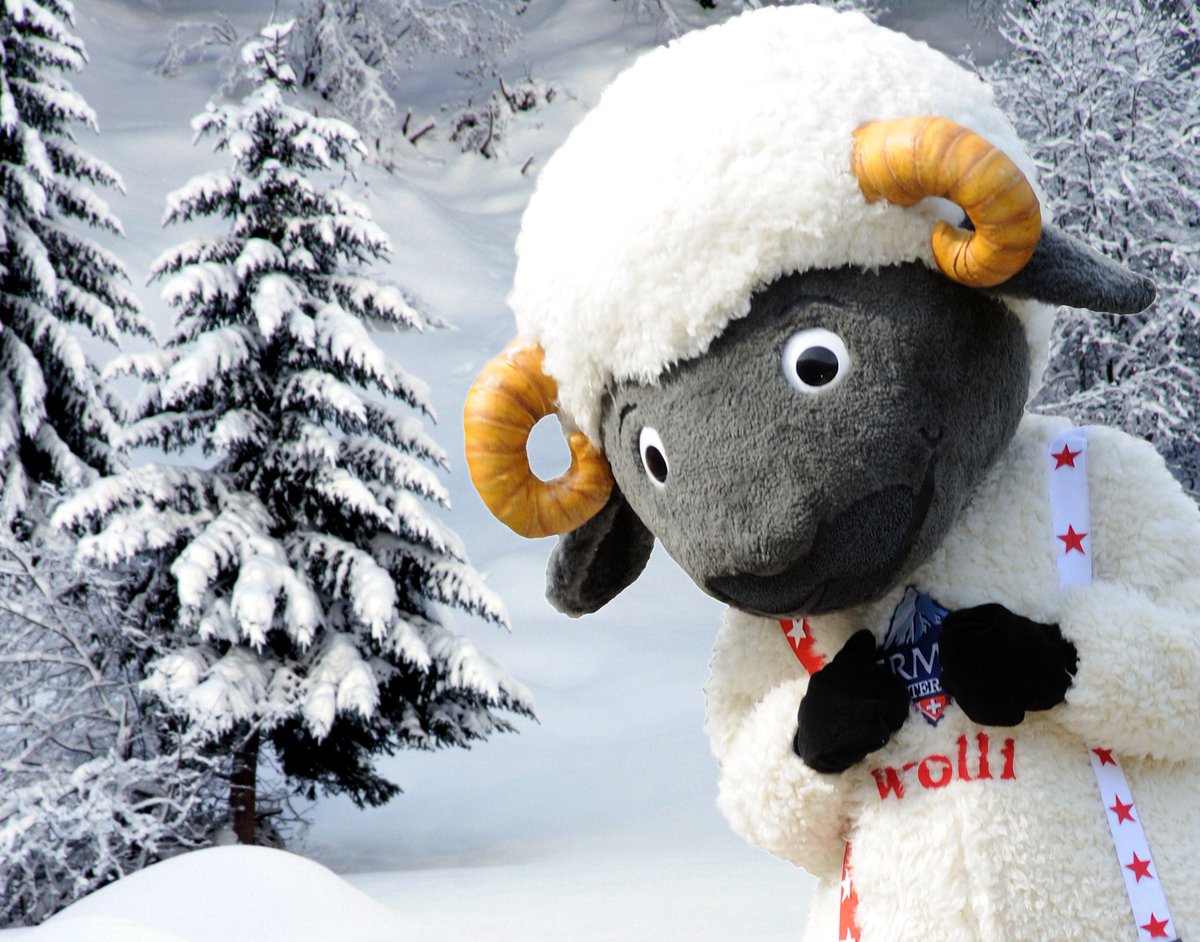 zermatt_tourism's tweet photo. #today #Wolli in the village 
https://t.co/NOxumNOx8V https://t.co/DuSvzgfCCj