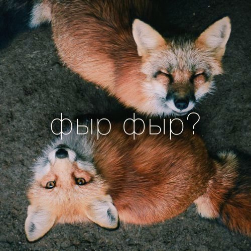 :3