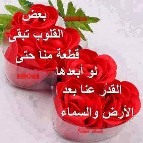 <a href="/qhdalidx/">زهرة النرجس</a> 
مساء الخير