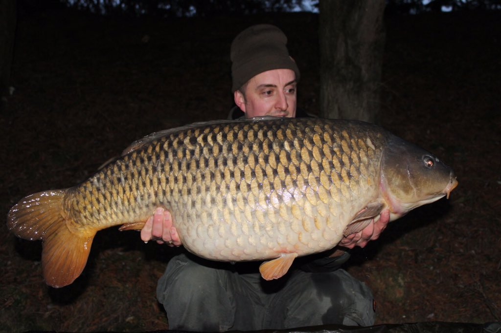 FromentSteve's tweet photo. @ccmoore_baits new year new campaign #livesystem #IsleofWight #forestponds #36Ib 7oz https://t.co/OE0szwCaFY