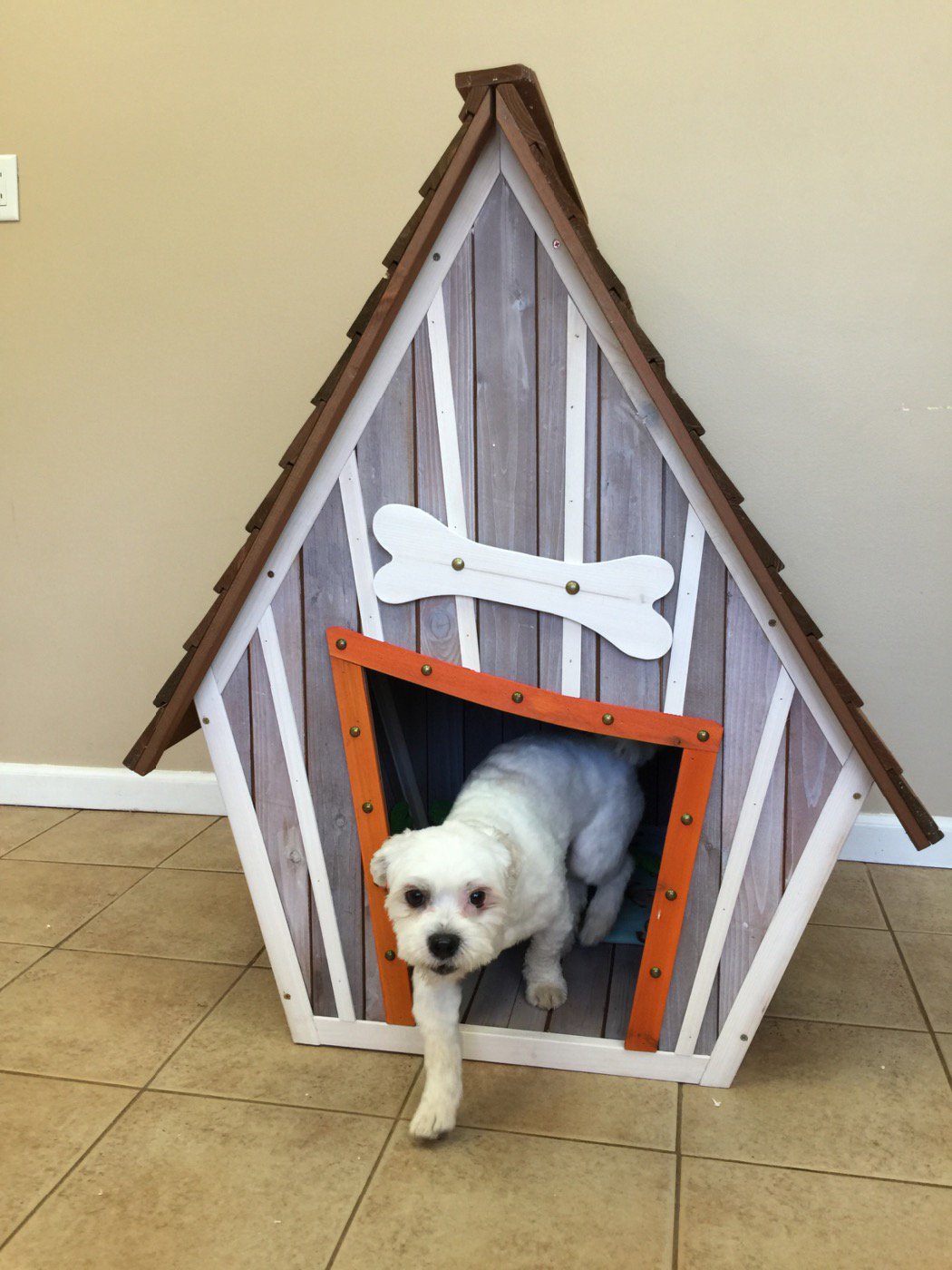 Wag Atlanta on Twitter "Oliver is checkin out the dog house. maltese