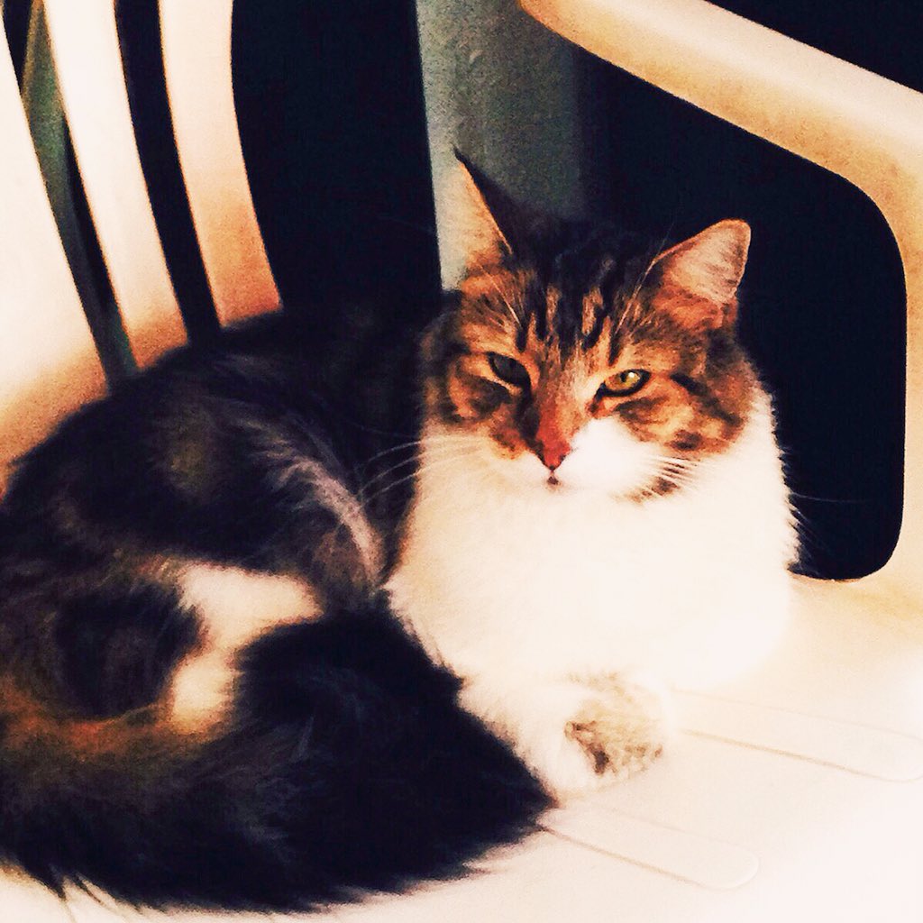 My big auntie 💜 follow my Instagram for cool videos and pictures <a href="/kitty_keee/">Kiikii Williams</a>