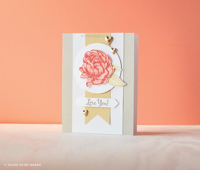 BewitchedCrafts's tweet photo. Gorgeous #StampOfTheMonth #BelovedBouquet perfect for #stamping #cardmaking #scrapbooking https://t.co/4avUHhTRUo https://t.co/G8PGAsMhXG