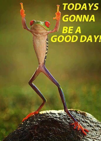 LiamBots's tweet photo. #humpdaymotivation https://t.co/UYzIt08ZOO