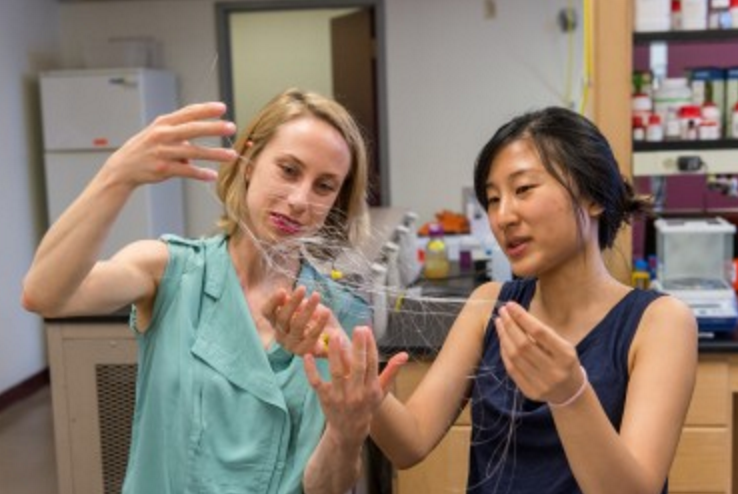 RehabRoboticsCo's tweet photo. Researchers awarded $16m to develop brain tech to reanimate paralyzed limbs https://t.co/2NPZ3ZvhCR https://t.co/R3plbF0H7u