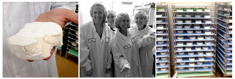 KiteHillFoods's tweet photo. A behind the scenes look at how we make our cheese from @MoomahMagazine. https://t.co/BoblKCSzvu https://t.co/F4vyLVqOp1