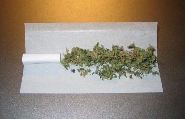 #News #ULTIMORA 

#Scienza: fumare erba rende disinteressati alle ricerche sul fumare erba.