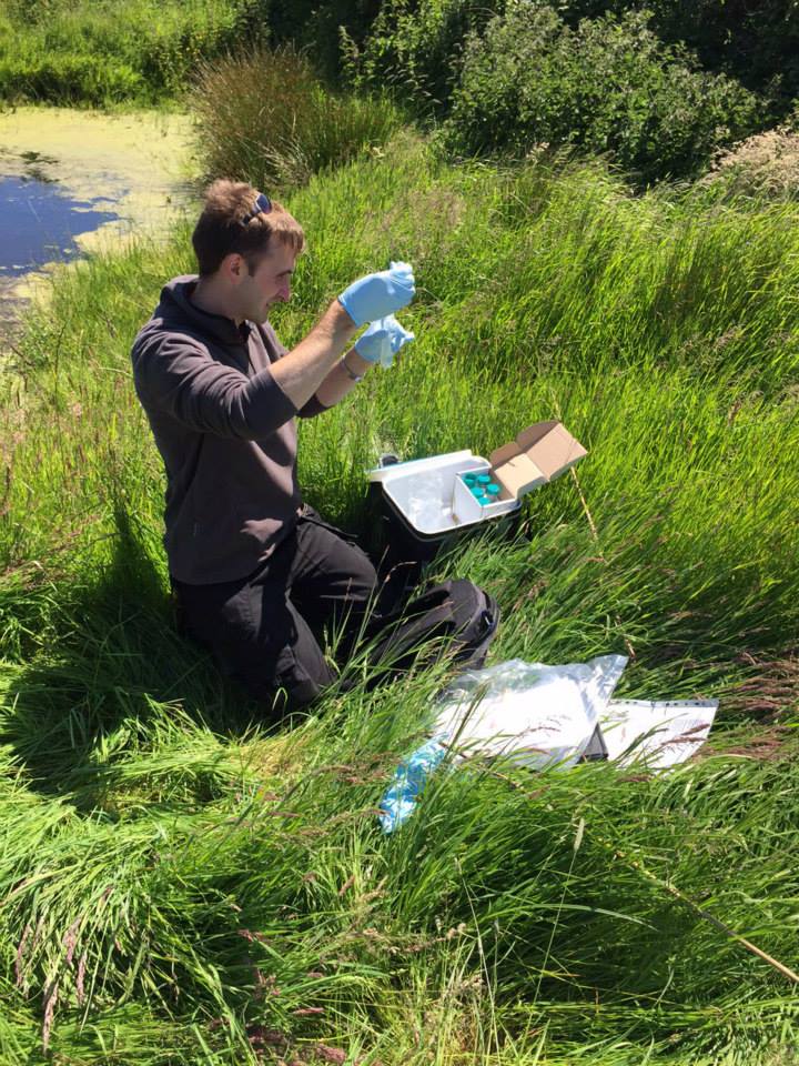 BSGEcology's tweet photo. Job Opportunity: #Ecologist /Senior Ecologist post at our #Oxford office. See: https://t.co/4zhDMrRSjX https://t.co/IjIEQV5Pqm