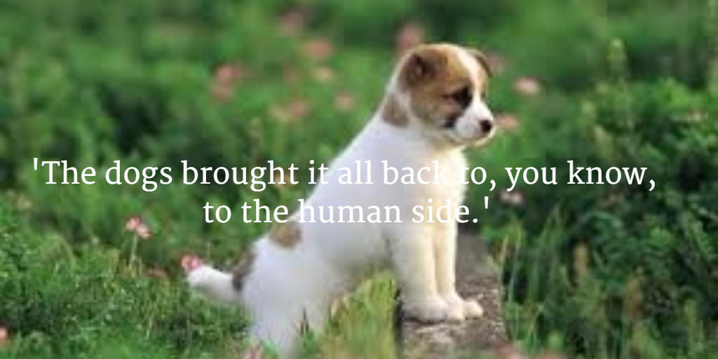 #CanineCareWithMarcTheVet
buff.ly/1P9AEvb