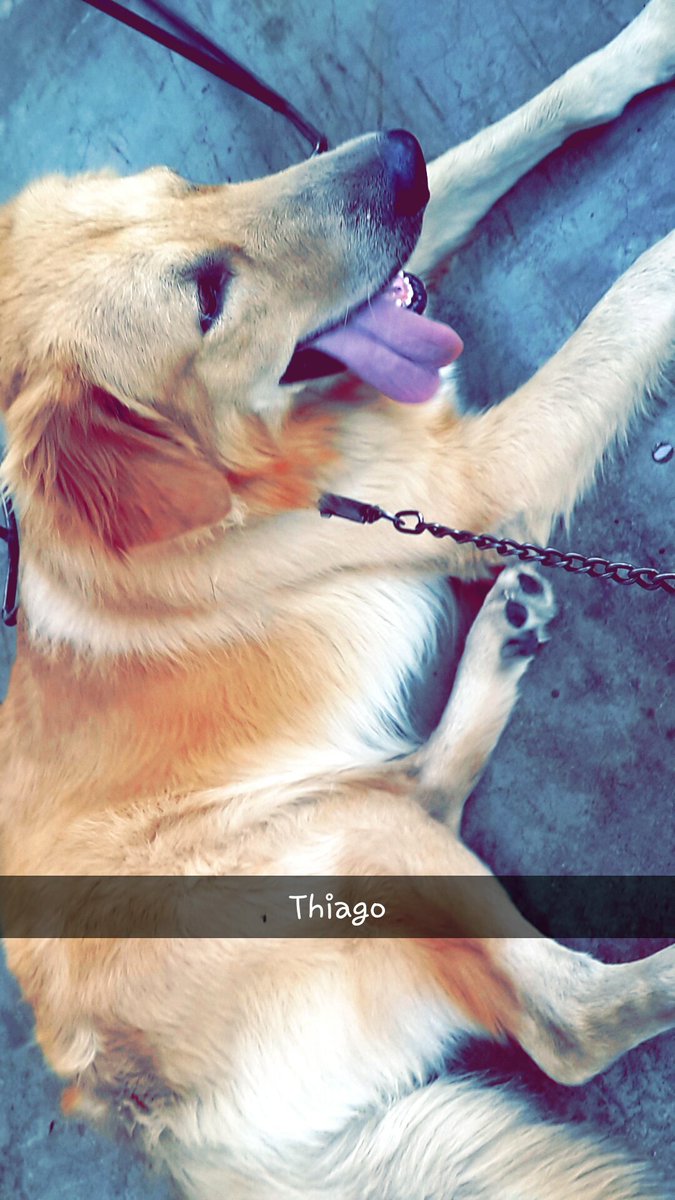 carmela  castillo (@carmelacasb) on Twitter photo 