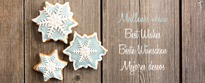 bms_france's tweet photo. L'équipe BMS &amp; Béwéplast vous souhaite une belle &amp; douce année 2016 ! https://t.co/IME0lWr2t7